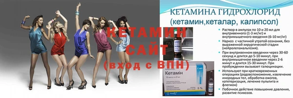 дмт Пестово