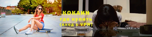 дмт Пестово