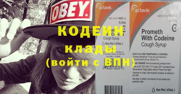 дмт Пестово