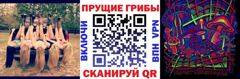 наркошоп  Новотроицк  Псилоцибиновые грибы Cubensis 