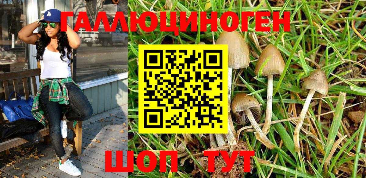 Псилоцибиновые грибы MAGIC MUSHROOMS  Новотроицк 