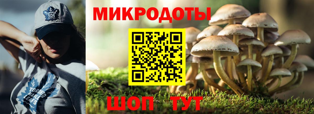 Галлюциногенные грибы MAGIC MUSHROOMS Новотроицк